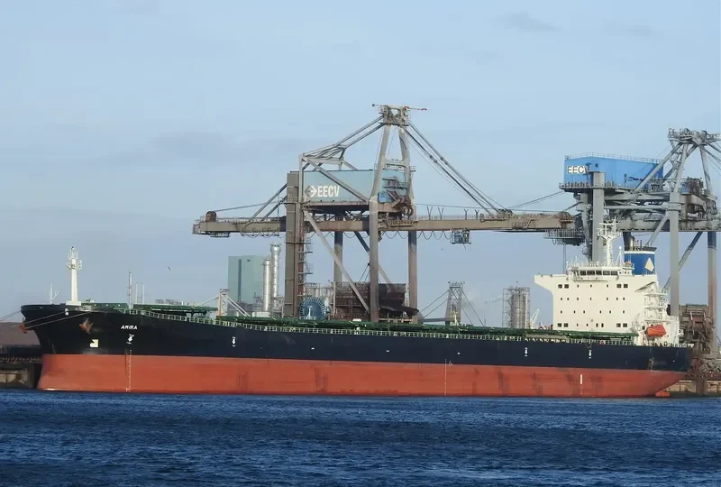 ORIENTAL PROMOTION Bulk Carrier IMO 9216248 photo 5