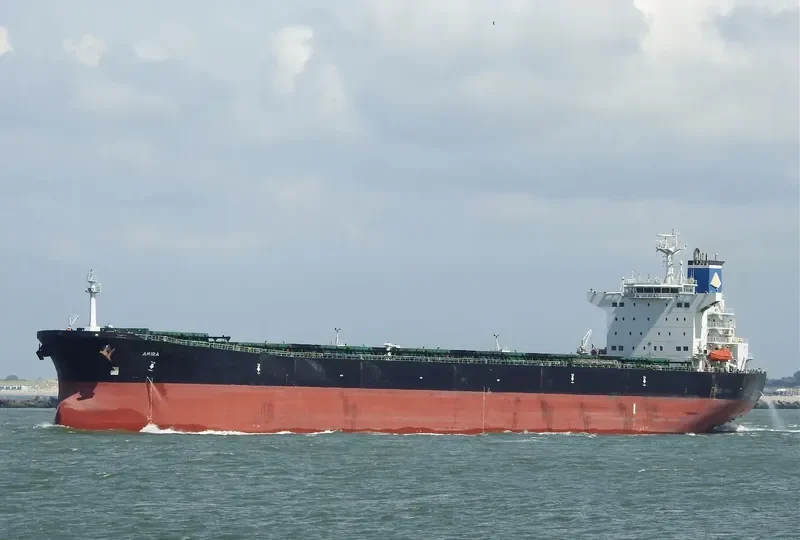 ORIENTAL PROMOTION Bulk Carrier IMO 9216248 photo 6