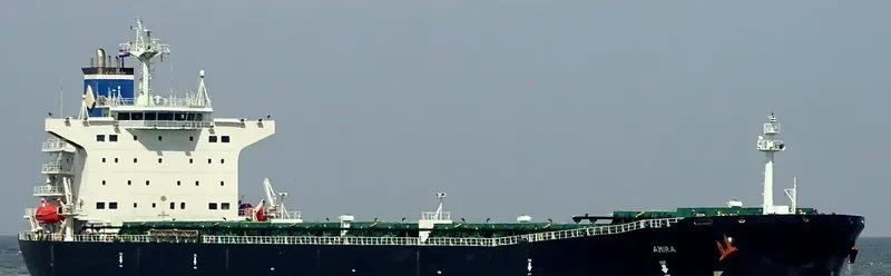 ORIENTAL PROMOTION Bulk Carrier IMO 9216248 photo 7