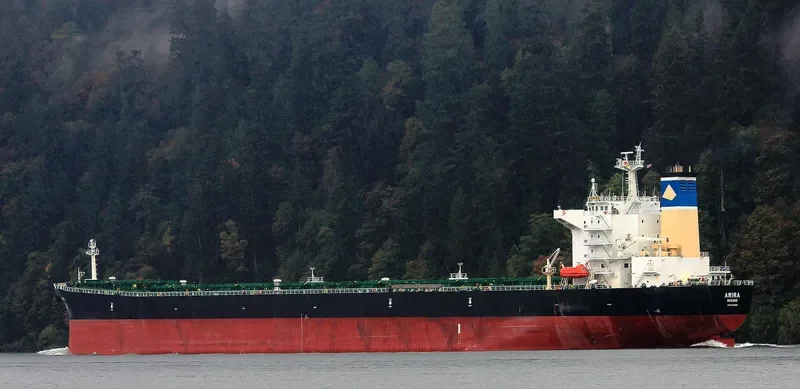 ORIENTAL PROMOTION Bulk Carrier IMO 9216248 photo 8