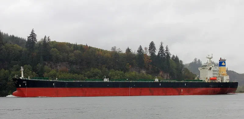 ORIENTAL PROMOTION Bulk Carrier IMO 9216248 photo 10