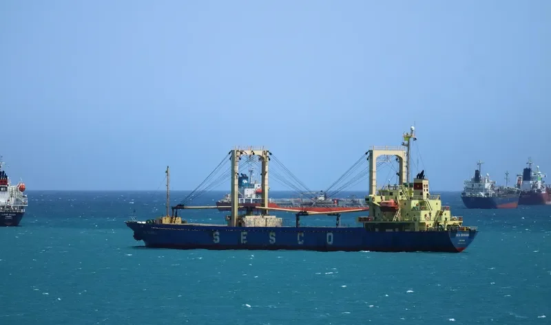 DOLPHIN 89 General Cargo IMO 9216341