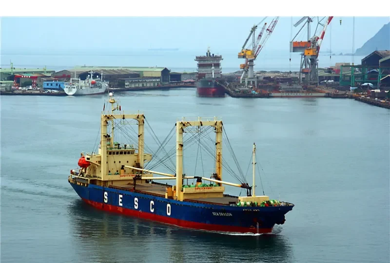 DOLPHIN 89 General Cargo IMO 9216341 photo 3