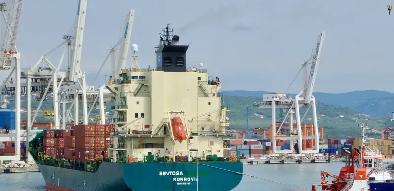 SENTOSA Container Ship IMO 9216365 photo 4