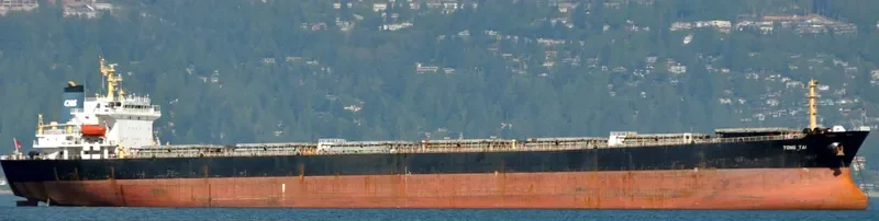 YONG TAI Bulk Carrier IMO 9216420 photo 4