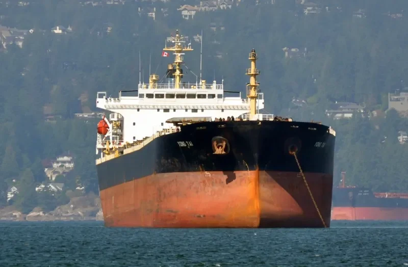 YONG TAI Bulk Carrier IMO 9216420 photo 5
