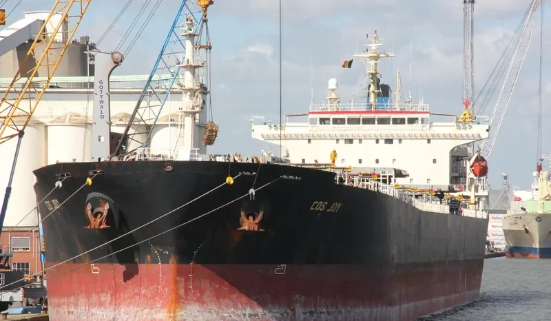 COS JOY Bulk Carrier IMO 9216444 photo 3