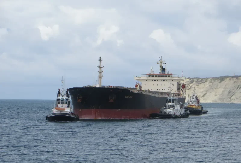 COS JOY Bulk Carrier IMO 9216444 photo 5