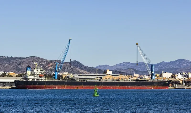 COS JOY Bulk Carrier IMO 9216444 photo 6