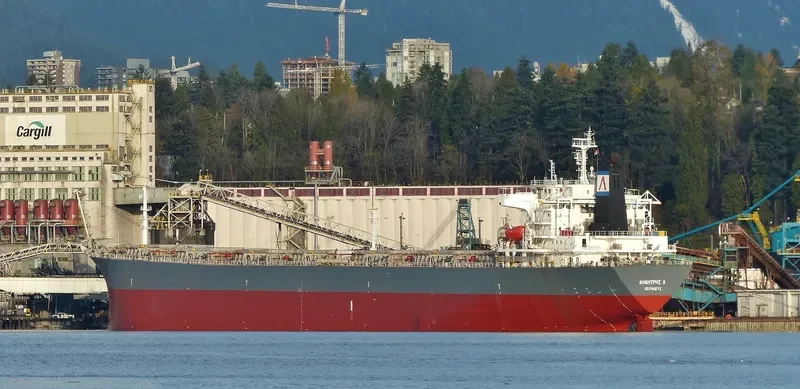 JIE LI Bulk Carrier IMO 9216456 photo 8