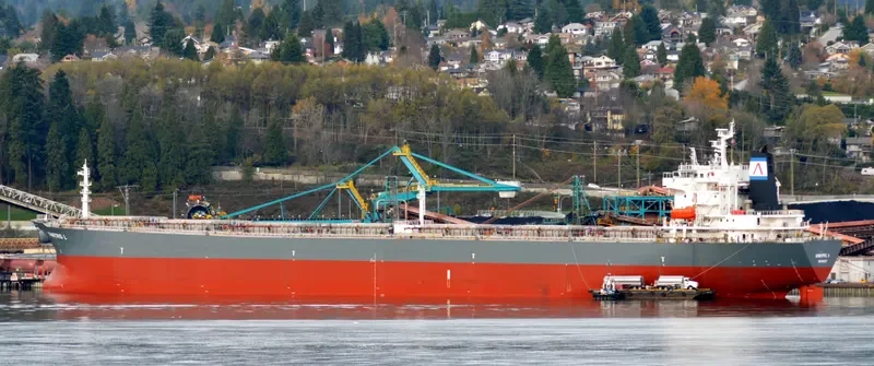 JIE LI Bulk Carrier IMO 9216456 photo 9