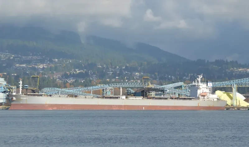 GOLDEN L Bulk Carrier IMO 9216468 photo 5