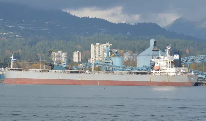 GOLDEN L Bulk Carrier IMO 9216468 photo 6