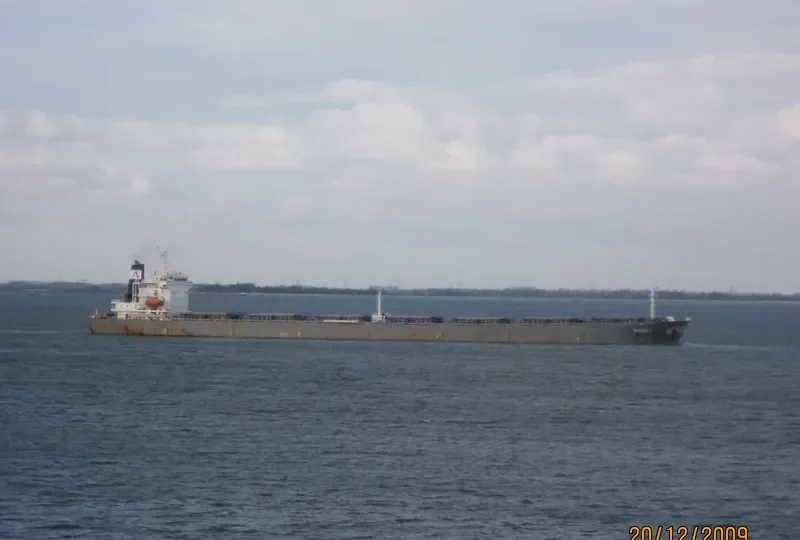 GOLDEN L Bulk Carrier IMO 9216468 photo 9