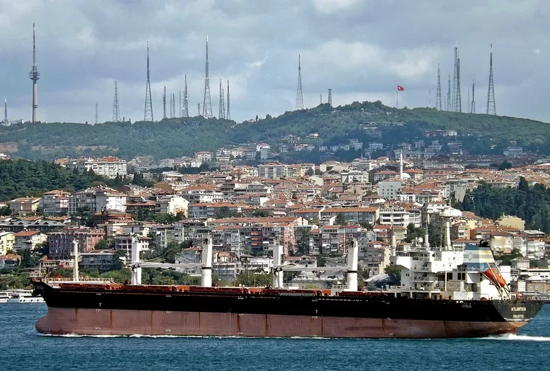 ATLANTICA Bulk Carrier IMO 9216509 photo 5