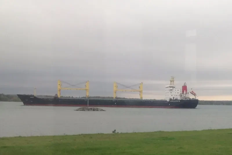 CORNELIA General Cargo IMO 9216597 photo 4