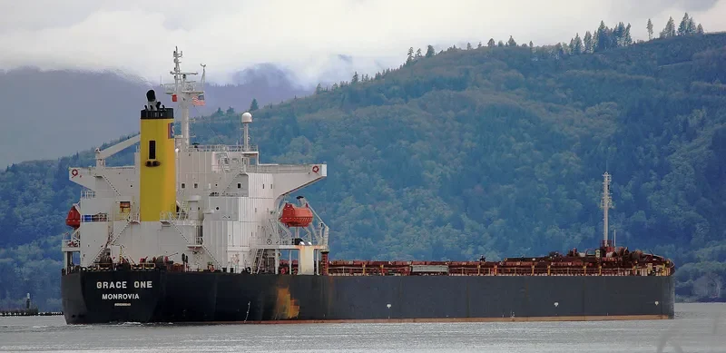 GRACE MILD Bulk Carrier IMO 9216640 photo 3