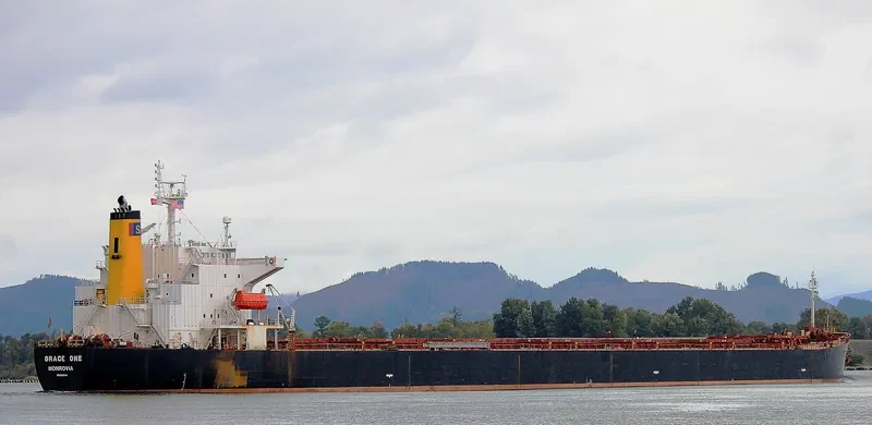 GRACE MILD Bulk Carrier IMO 9216640 photo 4