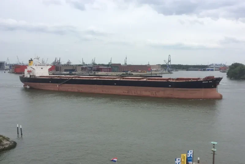 GRACE MILD Bulk Carrier IMO 9216640 photo 10