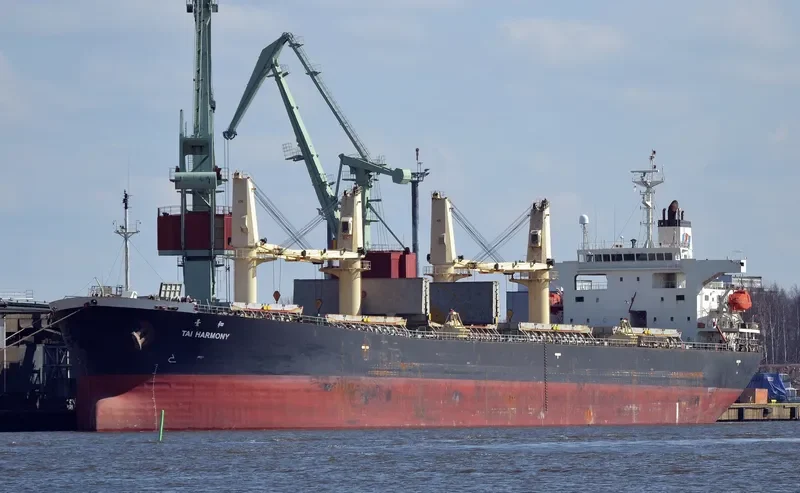 CROWN VIRTUE Bulk Carrier IMO 9216676 photo 2