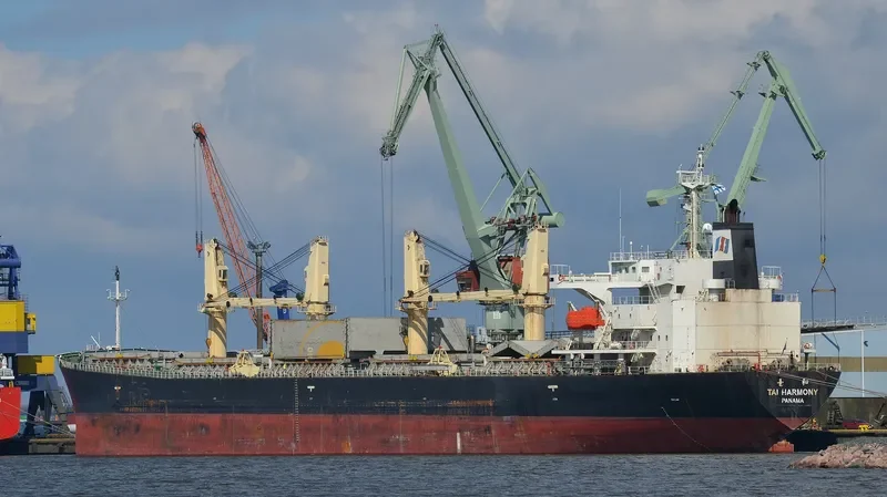 CROWN VIRTUE Bulk Carrier IMO 9216676 photo 3