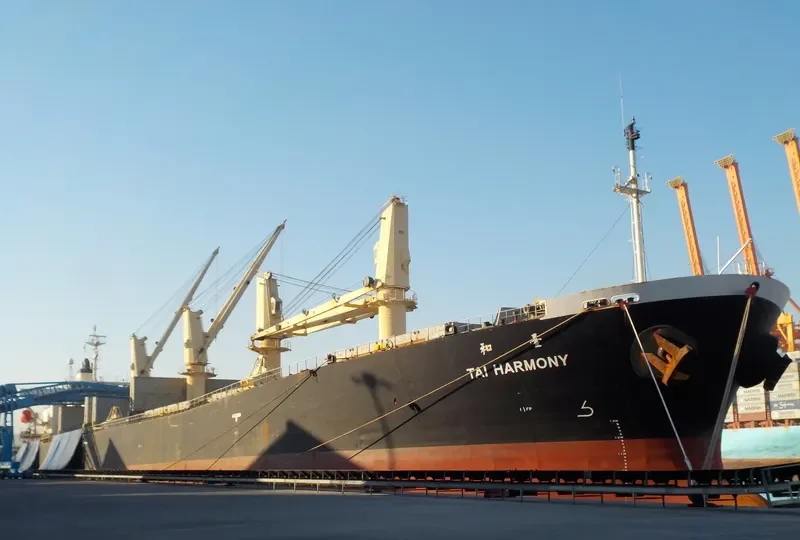 CROWN VIRTUE Bulk Carrier IMO 9216676 photo 4