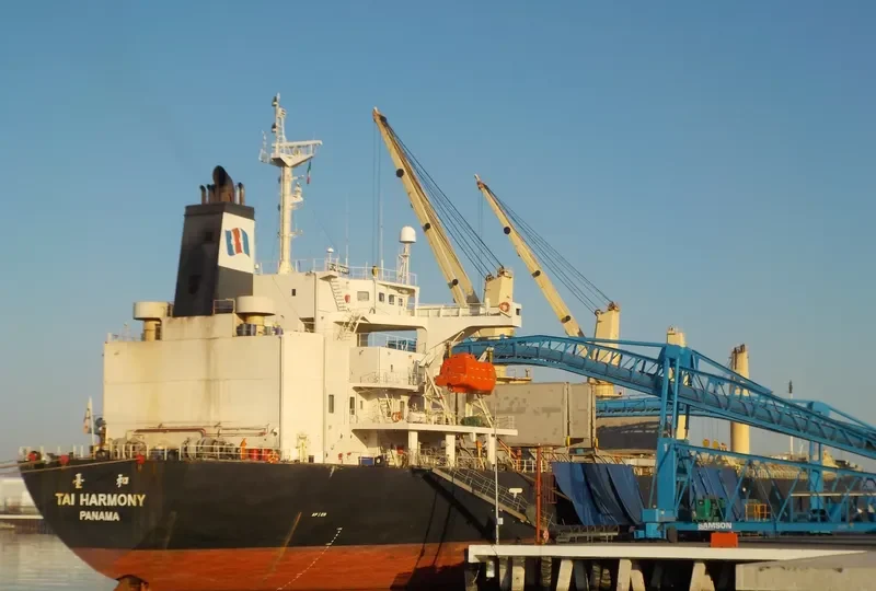 CROWN VIRTUE Bulk Carrier IMO 9216676 photo 5