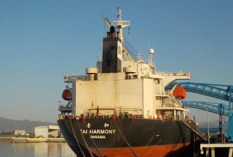 CROWN VIRTUE Bulk Carrier IMO 9216676 photo 6