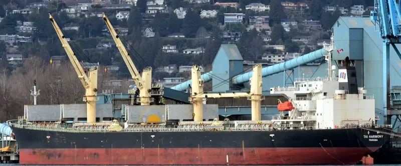 CROWN VIRTUE Bulk Carrier IMO 9216676 photo 9