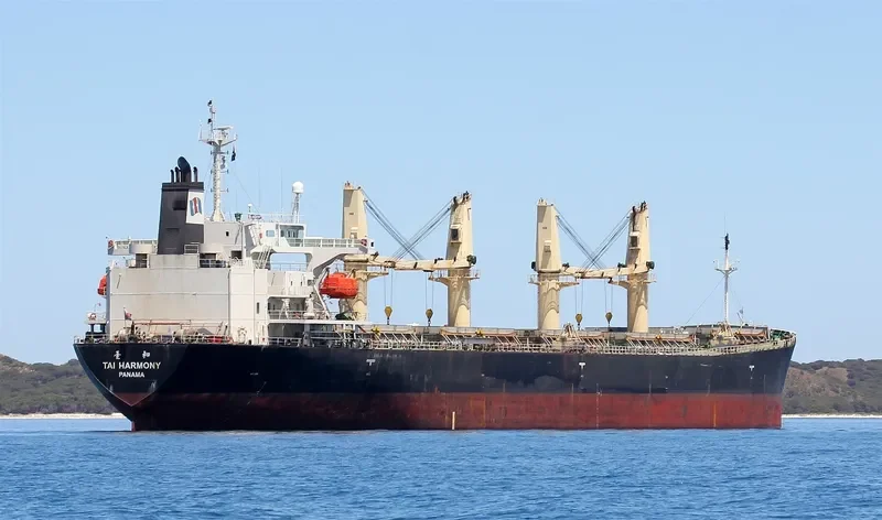 CROWN VIRTUE Bulk Carrier IMO 9216676 photo 10