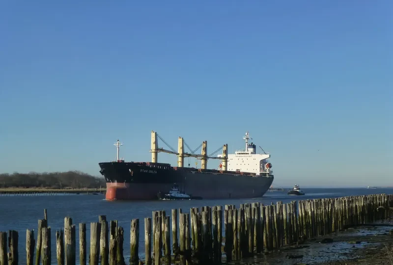 PRINCE M Bulk Carrier IMO 9216808 photo 4