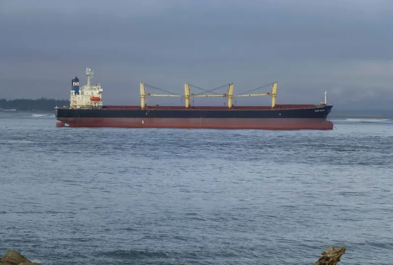 PRINCE M Bulk Carrier IMO 9216808 photo 5