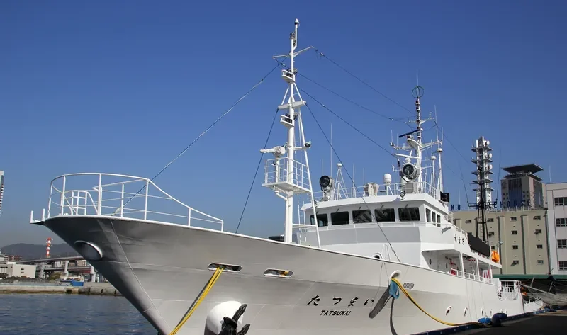 TATSUMAI General Cargo IMO 9216896 photo 3