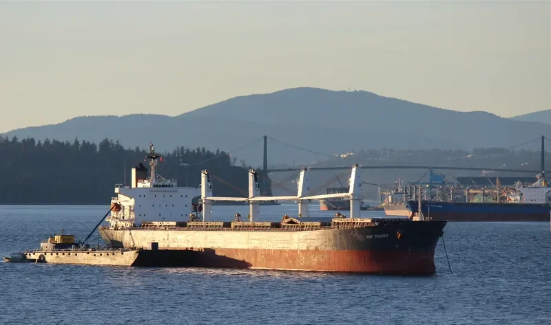 YUE AN TIAN YING Bulk Carrier IMO 9216963 photo 6