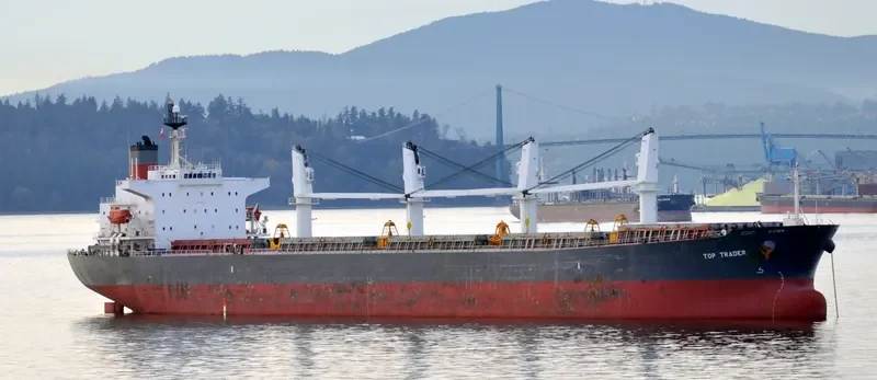 YUE AN TIAN YING Bulk Carrier IMO 9216963 photo 7