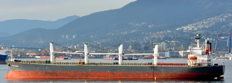 YUE AN TIAN YING Bulk Carrier IMO 9216963 photo 8