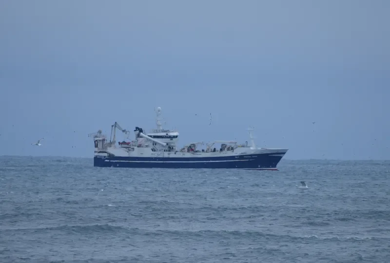 ENIGMA ASTRALIS General Cargo IMO 9217149 photo 8