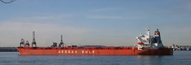 NAN XIN 9 Bulk Carrier IMO 9217216 photo 9