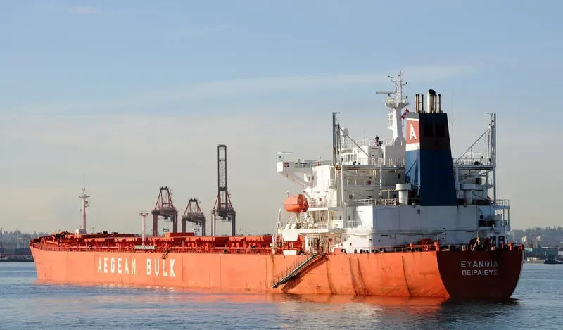 NAN XIN 9 Bulk Carrier IMO 9217216 photo 10