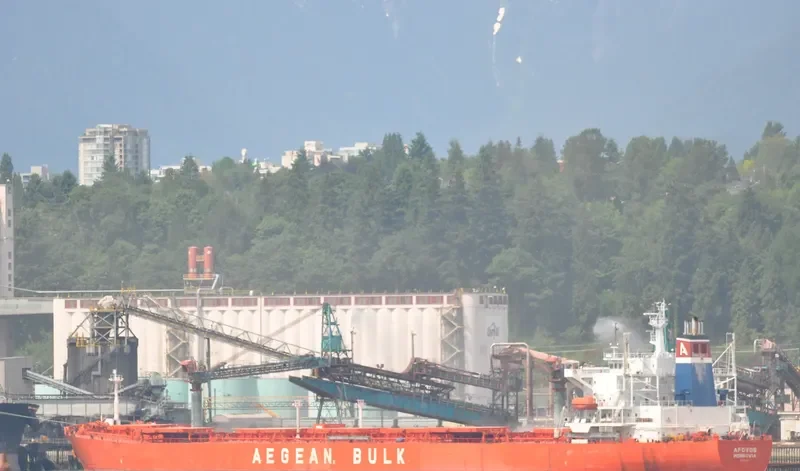 HUA DA YUN Bulk Carrier IMO 9217228 photo 4