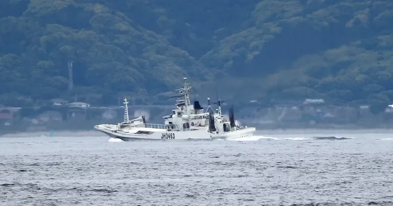 KOEI MARU General Cargo IMO 9217498