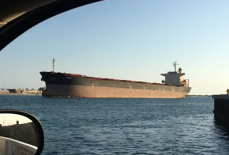 AEGEA Bulk Carrier IMO 9217644