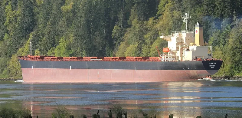 AEGEA Bulk Carrier IMO 9217644 photo 3