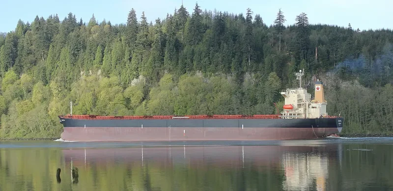 AEGEA Bulk Carrier IMO 9217644 photo 4