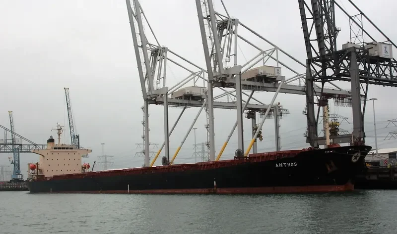 ANTHOS Bulk Carrier IMO 9217656 photo 2