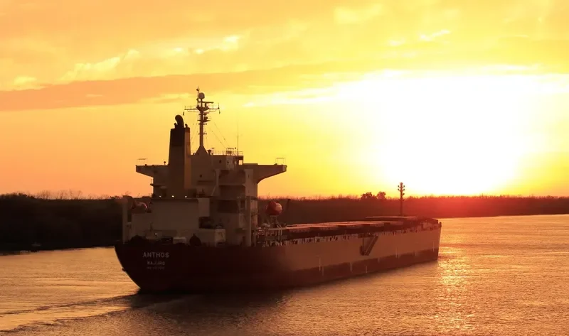 ANTHOS Bulk Carrier IMO 9217656 photo 6