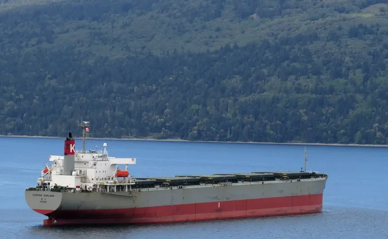 HOANH SON SUN Bulk Carrier IMO 9217670