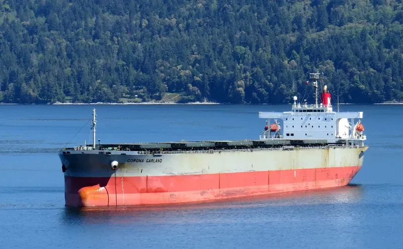 HOANH SON SUN Bulk Carrier IMO 9217670 photo 2