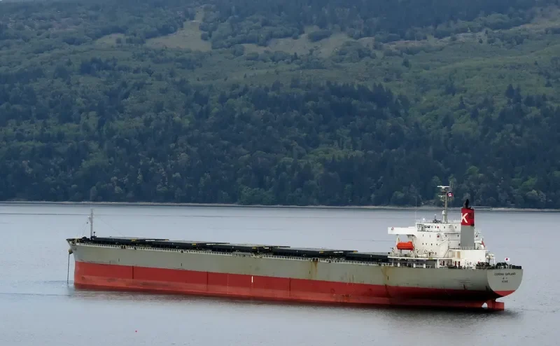 HOANH SON SUN Bulk Carrier IMO 9217670 photo 3