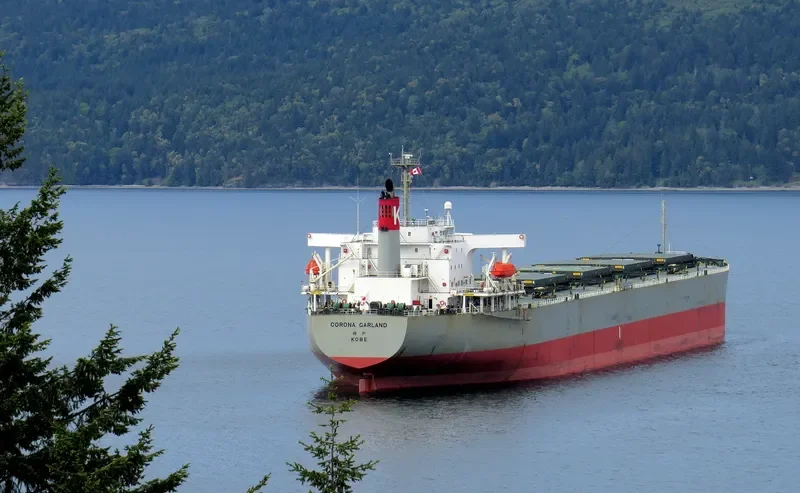 HOANH SON SUN Bulk Carrier IMO 9217670 photo 4